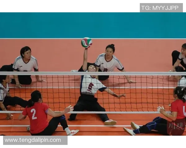 成都排球队在杯赛中的个人能力展现与战术配合分析